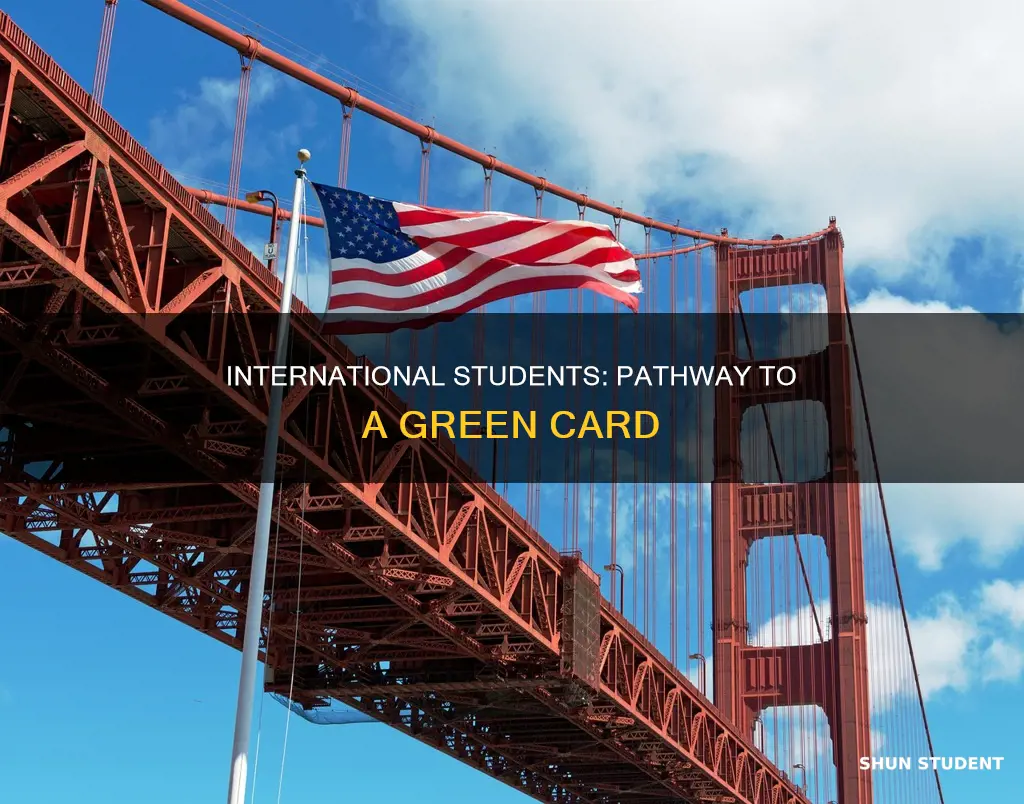 how many international students get green card