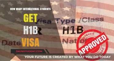 International Students: H1-B Visa Success Stories