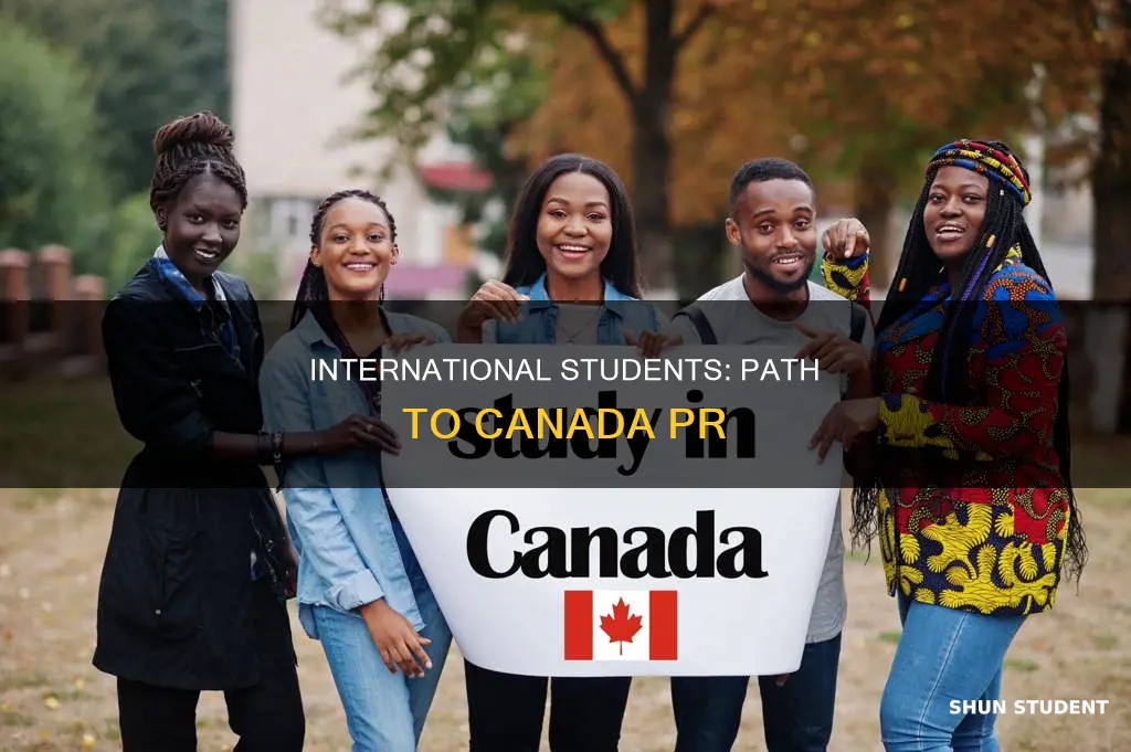how many international students get pr in canada