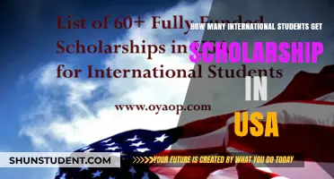 Scholarships in the USA: International Students' Opportunities