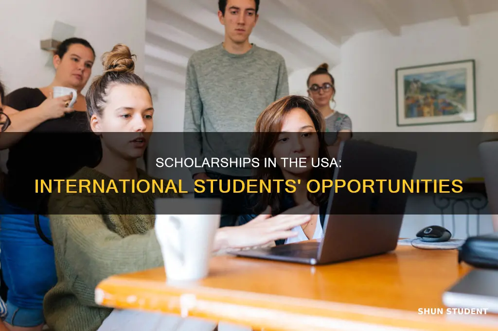 how many international students get scholarships in usa