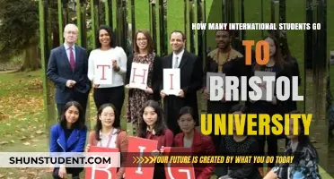 International Students at Bristol University: A Large Number