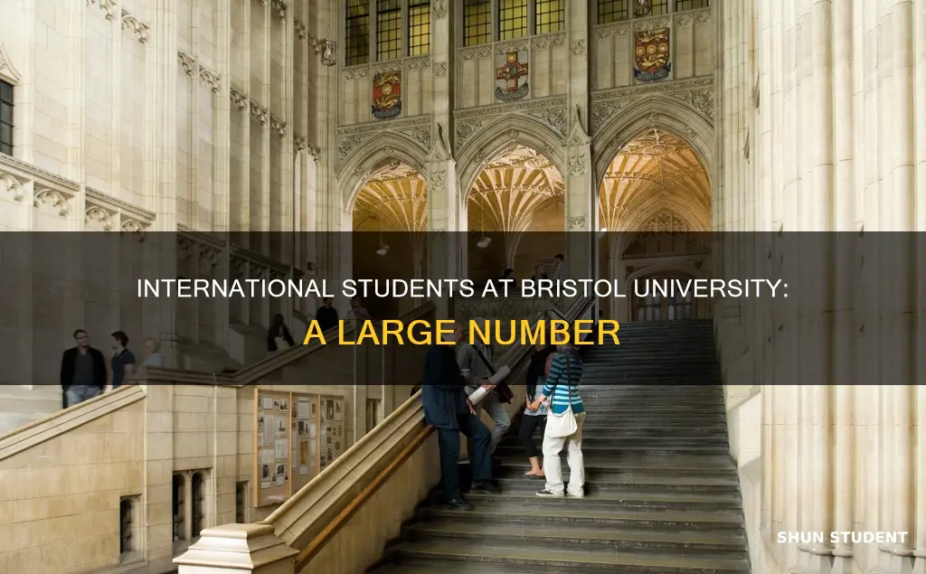 how many international students go to bristol university