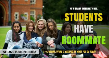International Students: Roommate Life and Its Appeal