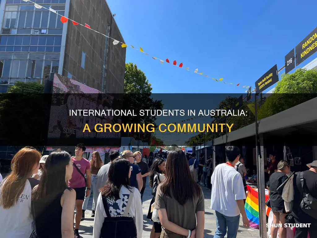 how many international students in australian universities