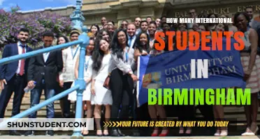International Students Flock to Birmingham: How Many?