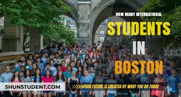 International Students Throng Boston: A Comprehensive Overview