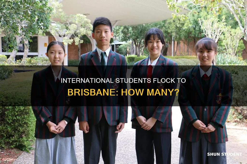 how many international students in brisbane