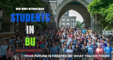 International Students at BU: A Thriving Community