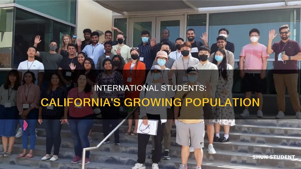 how many international students in california