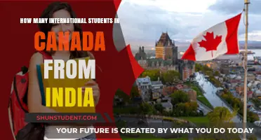 Indian Students Flock to Canada: Why?