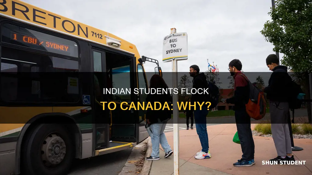 how many international students in canada from india