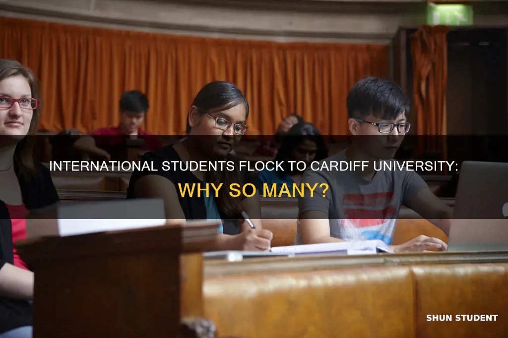 how many international students in cardiff university