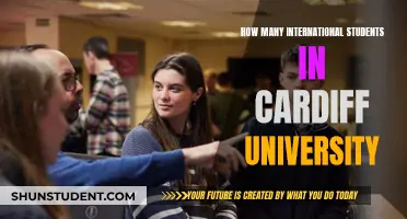 International Students Thriving at Cardiff University