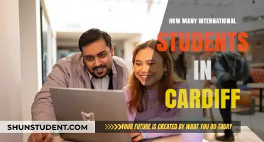 International Students Flock to Cardiff