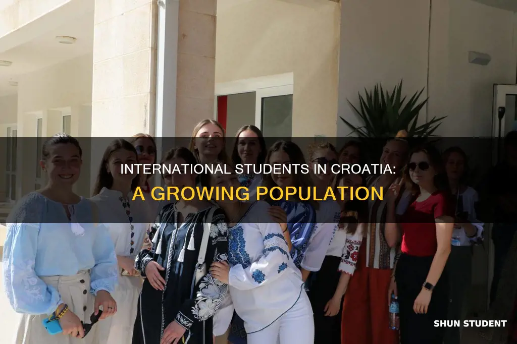 how many international students in croatia