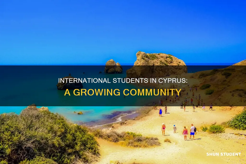 how many international students in cyprus