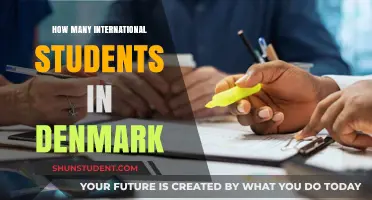 International Students Thriving in Denmark