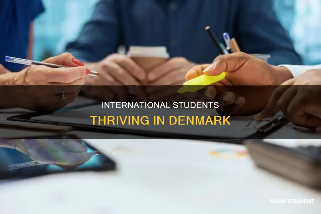 how many international students in denmark