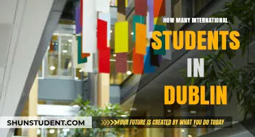 Dublin's International Student Population: A Comprehensive Overview
