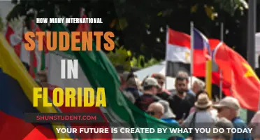 International Students in Florida: A Growing Population