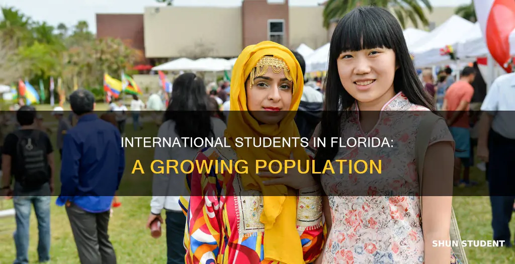 how many international students in florida