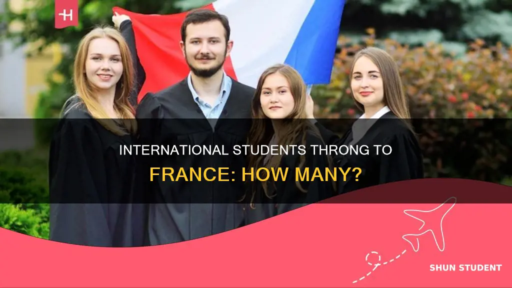 how many international students in france