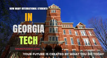 International Students Thriving at Georgia Tech