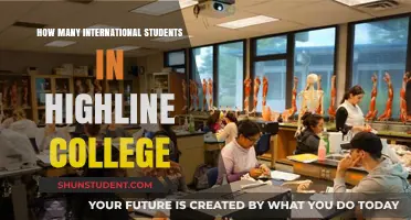 International Students Thriving at Highline College