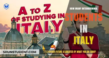 International Students in Italy: A Growing Population