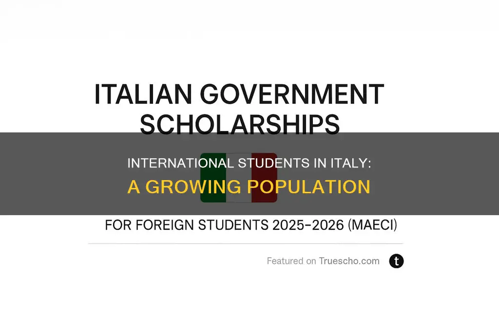 how many international students in italy