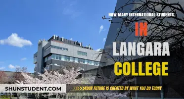 Langara College: International Students Hub