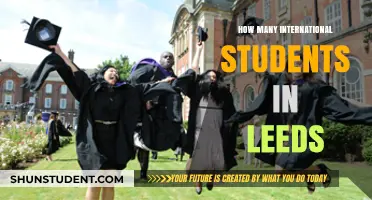 International Students Thriving in Leeds: Population Insights