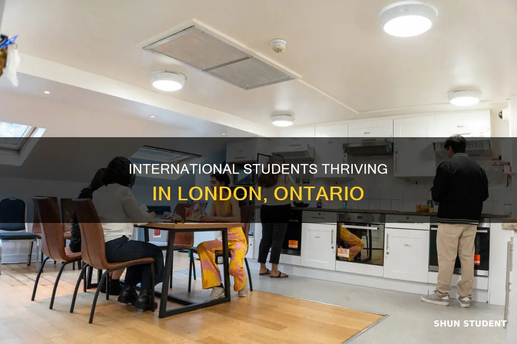 how many international students in london ontario