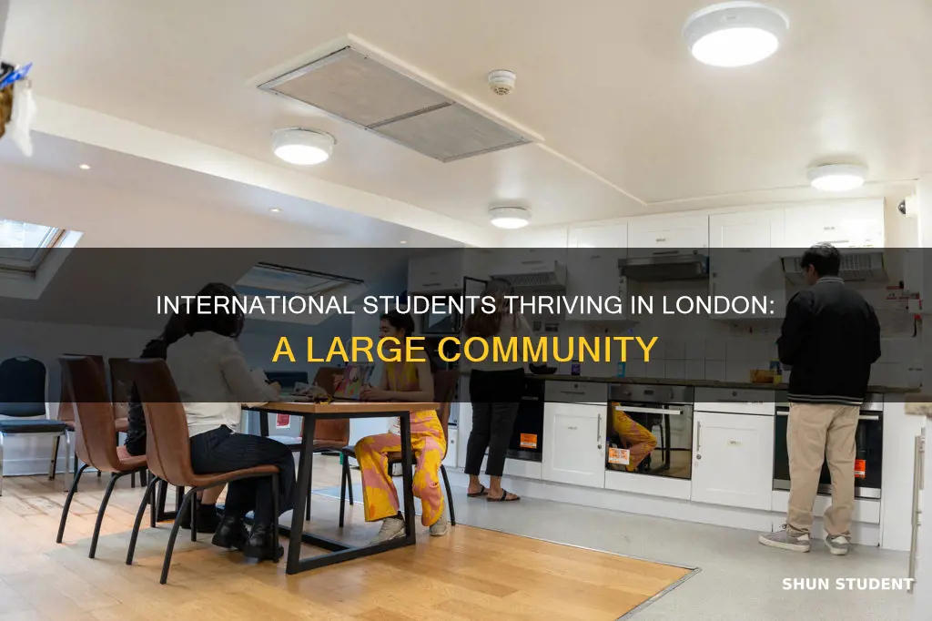 how many international students in london