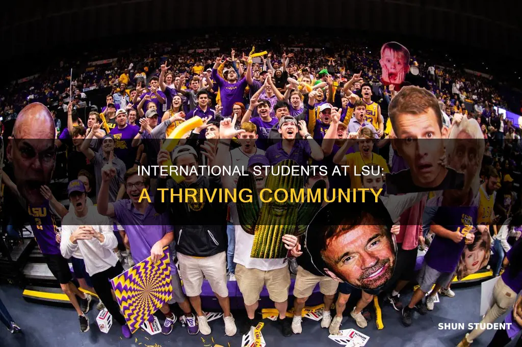 how many international students in lsu