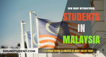 International Students in Malaysia: A Growing Population