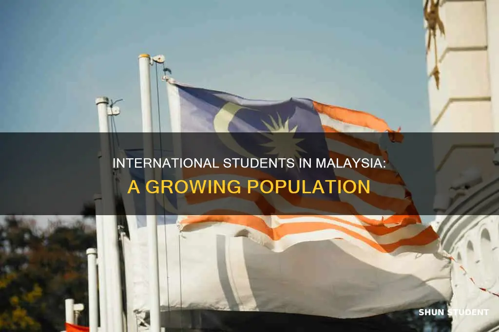 how many international students in malaysia