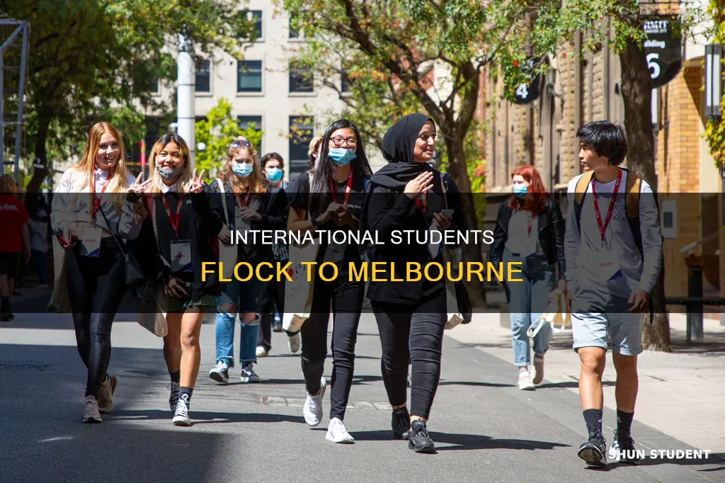 how many international students in melbourne