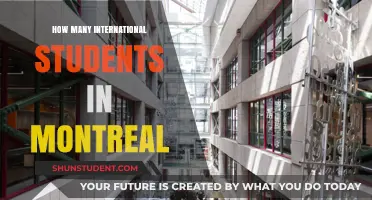 International Students Flock to Montreal