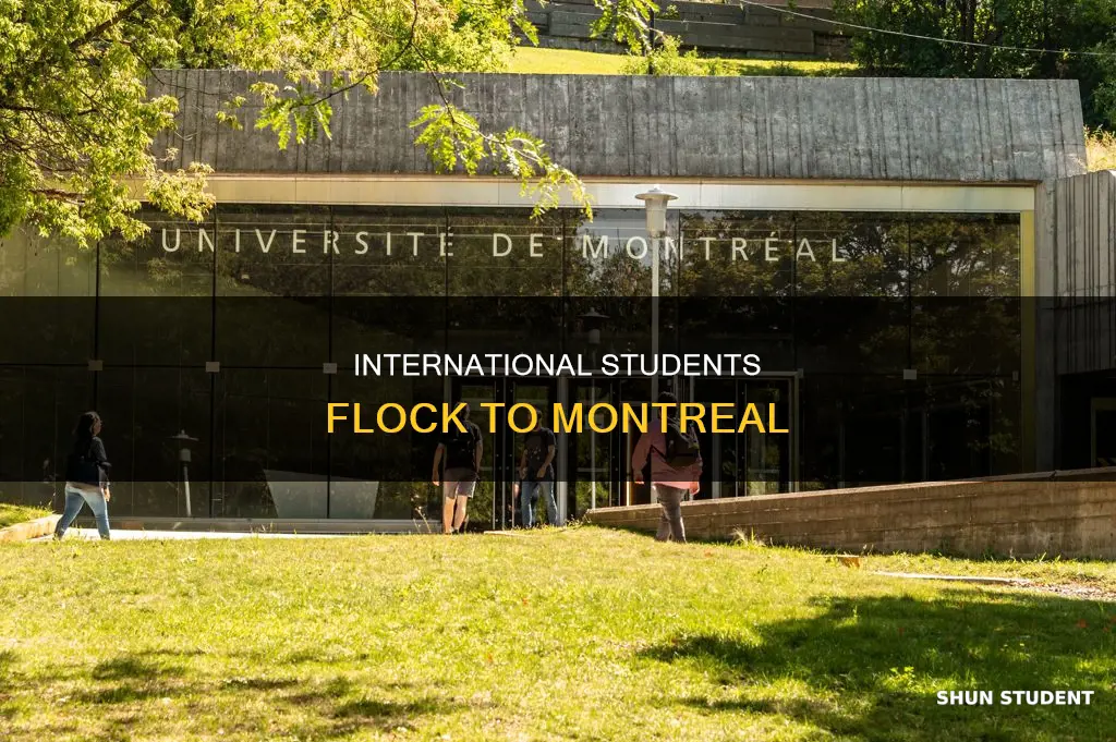 how many international students in montreal