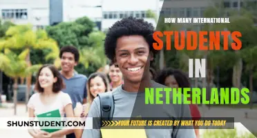 International Students Throng the Netherlands