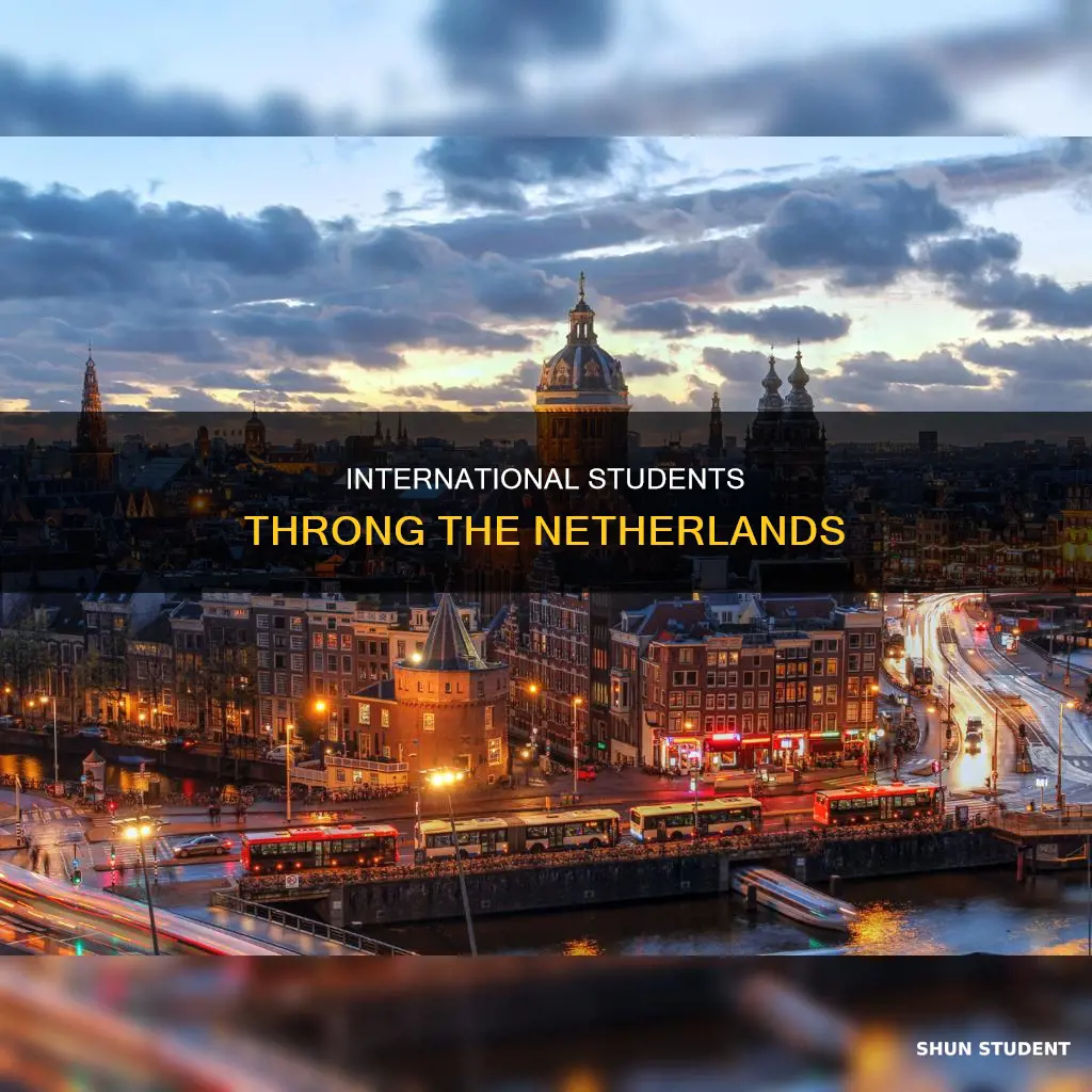 how many international students in netherlands
