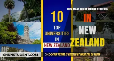 International Students Thriving in New Zealand