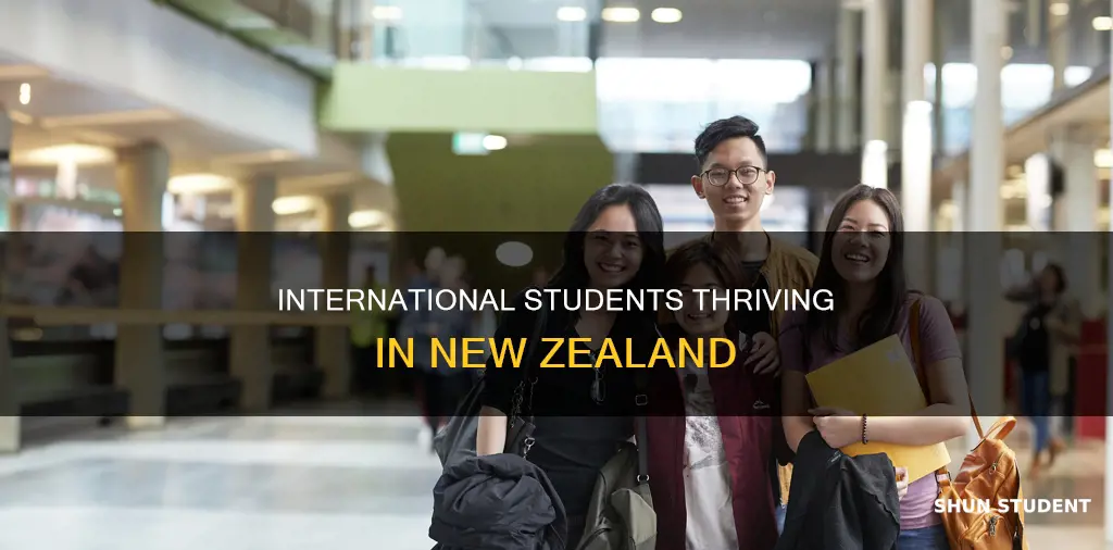 how many international students in new zealand