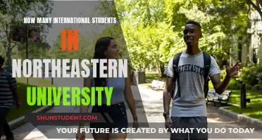 International Students at Northeastern: A Diverse Community