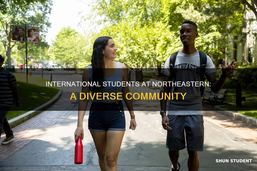 how many international students in northeastern university