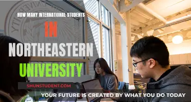 International Students Thriving at Northeastern University