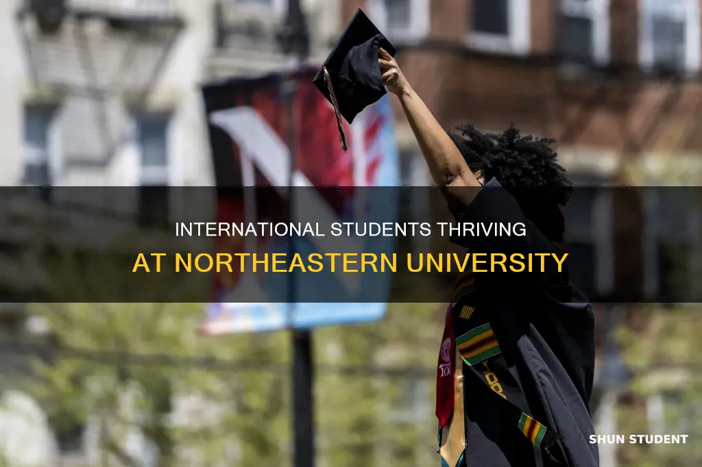 how many international students in northeastern university