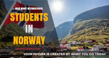 International Students Thriving in Norway: How Many?